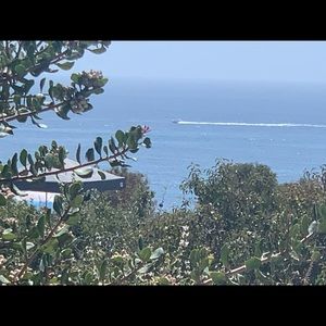 Meet your Posher, Elsa